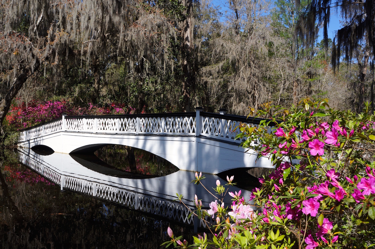 The White Bridge at Magnolia