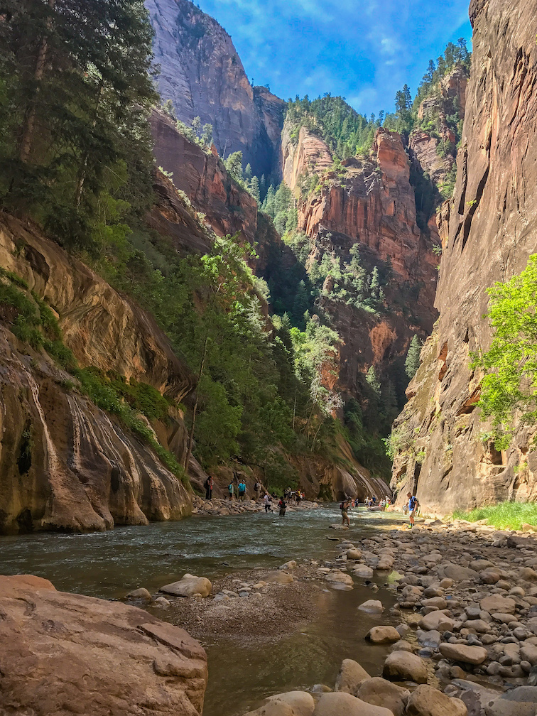 The Narrows at Zion