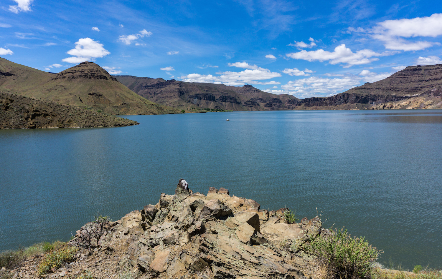 Lake Owyhee