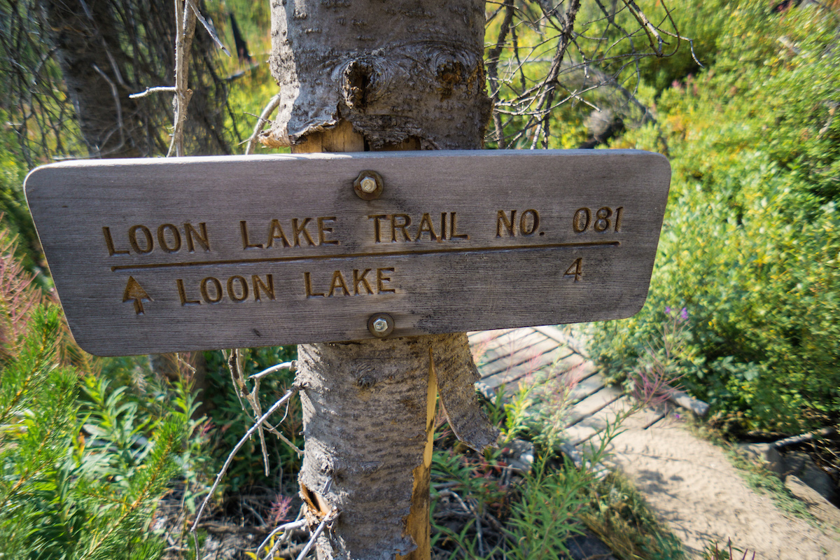 Loon Lake Sign