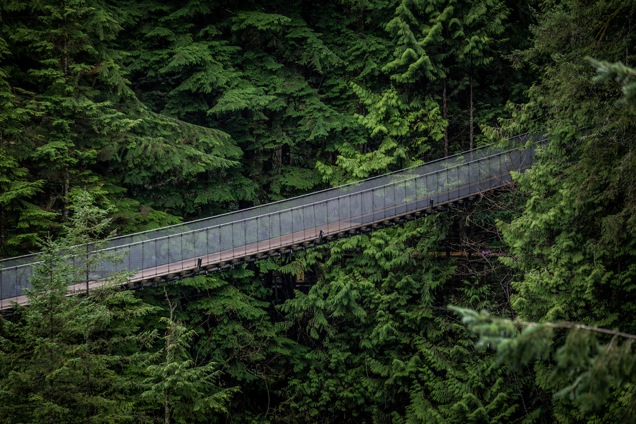 capilano bridge