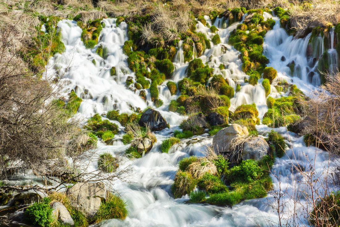 Close up on Niagara Springs