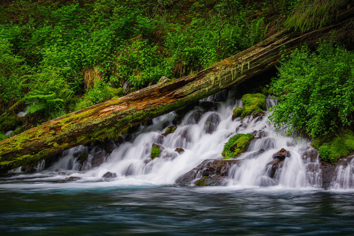 Spring on the Metolius