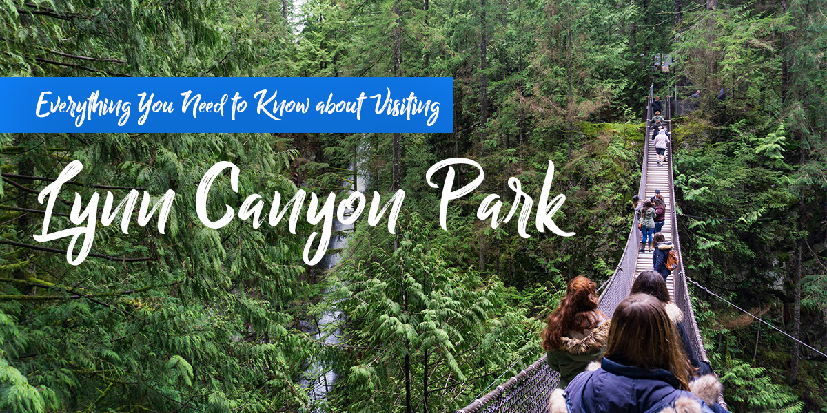 lynn canyon park