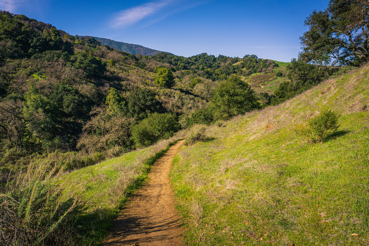 Quicksilver Trail