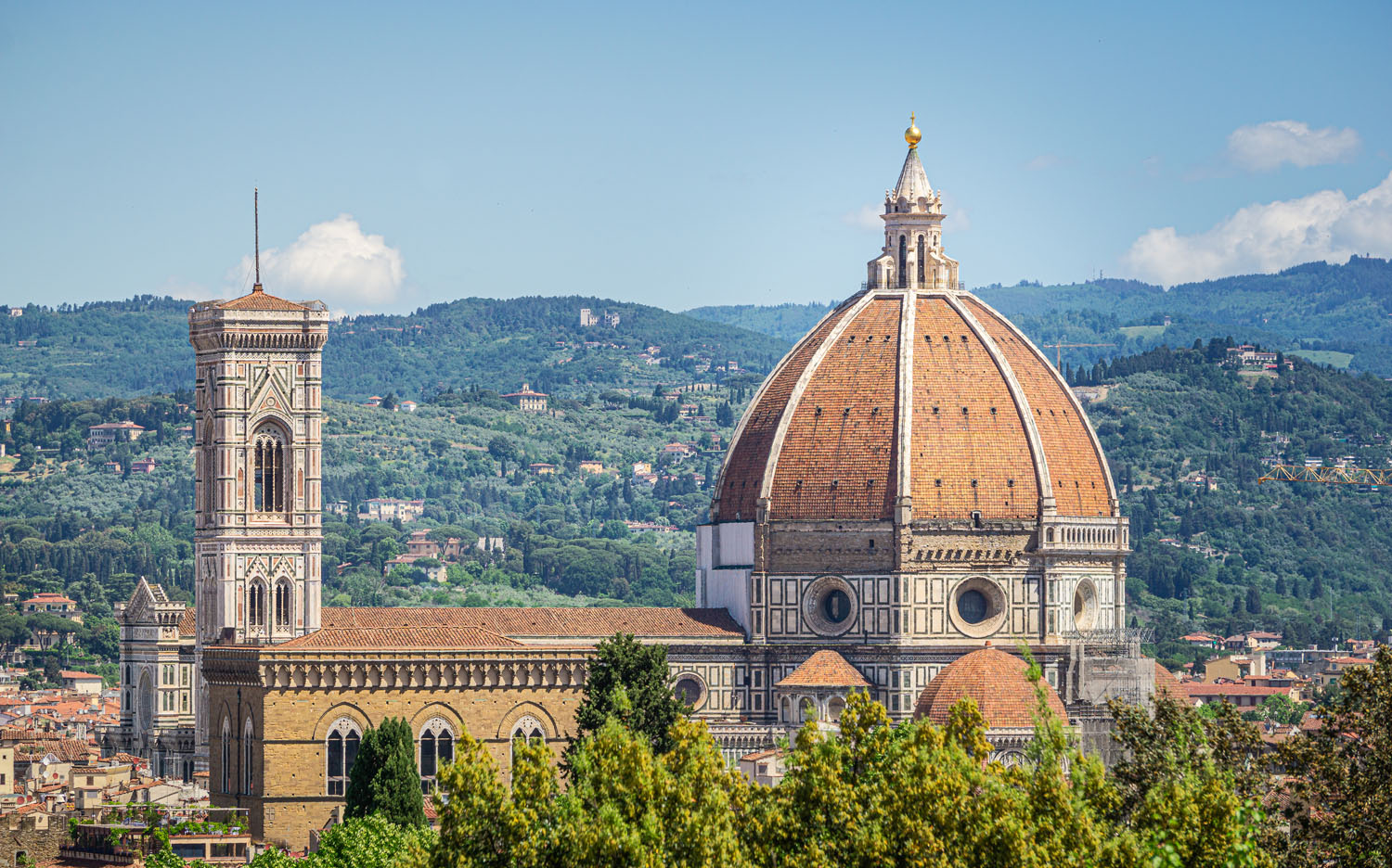 Florence View